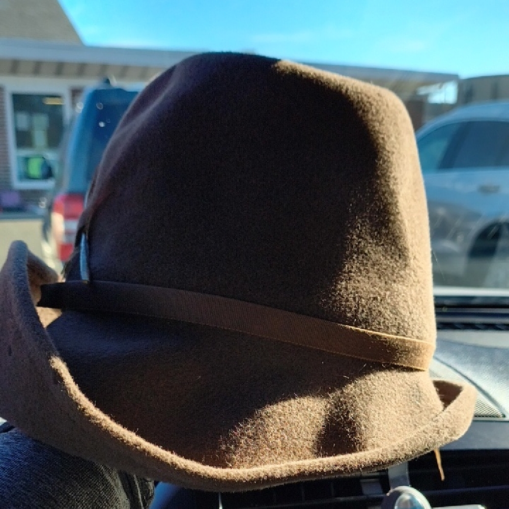 Classic Brown Fedora Hat